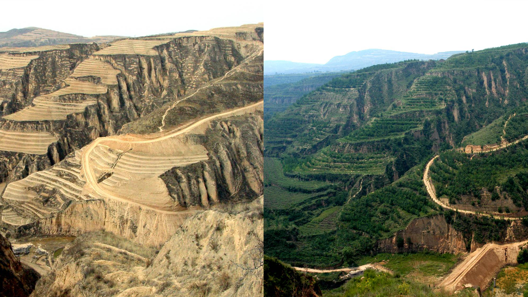 лессовое плато в китае